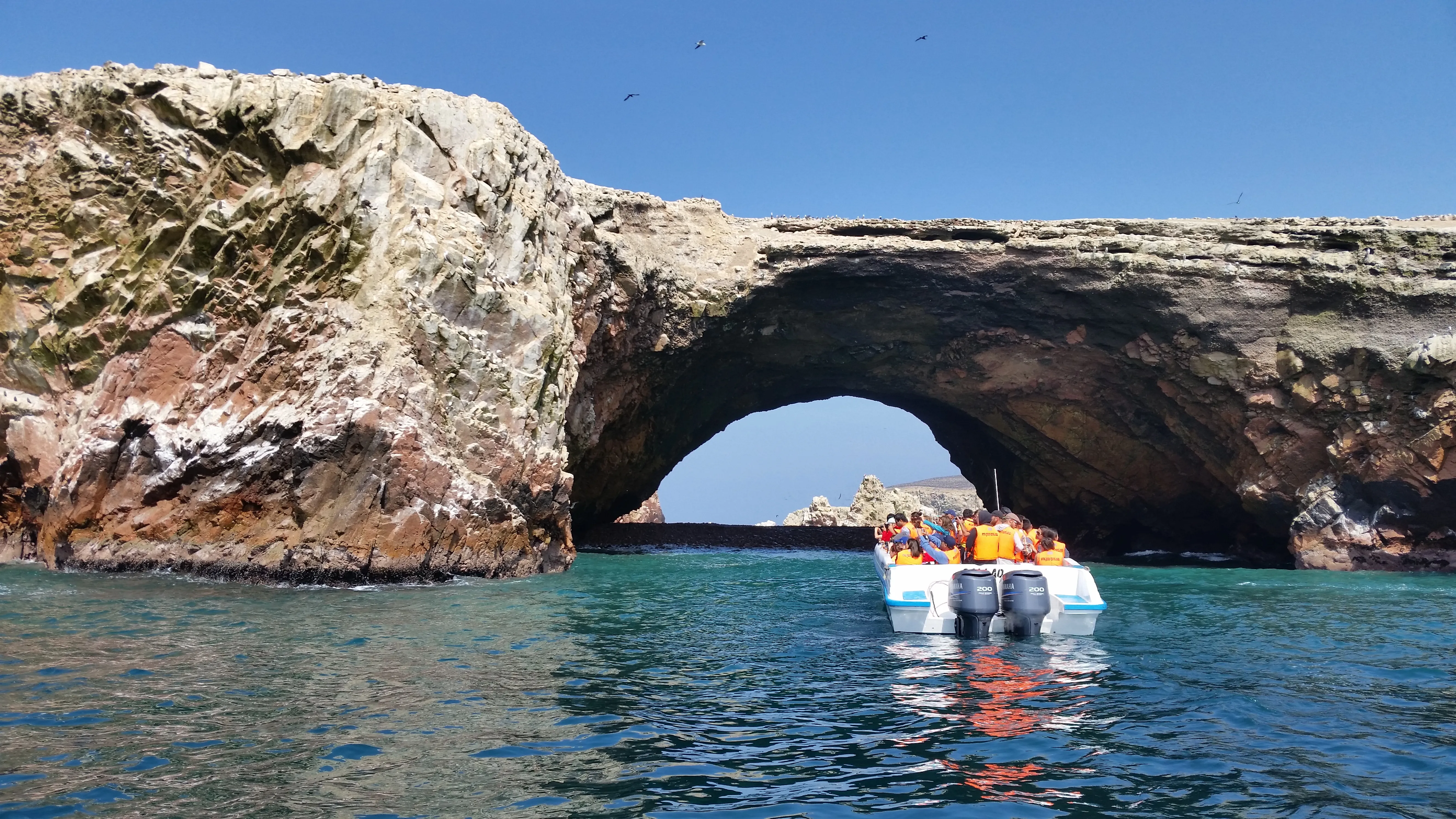 Islas Ballestas y Oasis Huachina Full Day (LIMA - ICA)