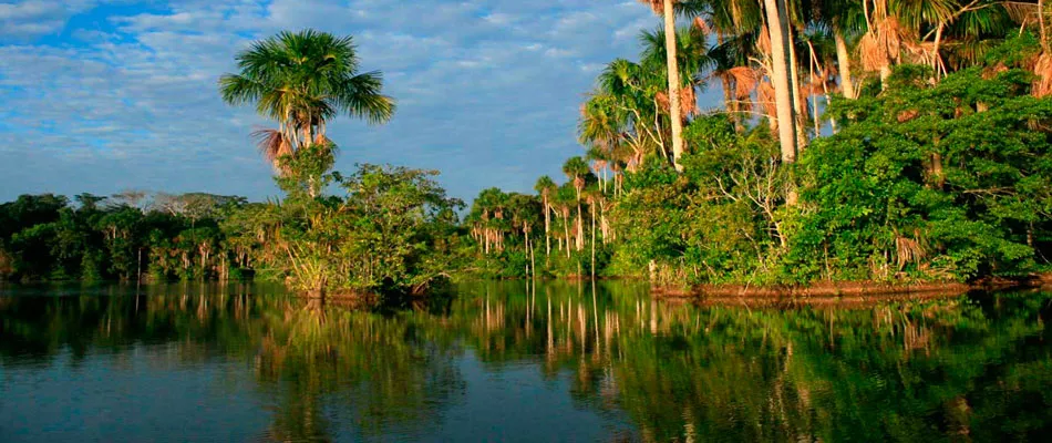 Reserva Tambopata (PUERTO MALDONADO)